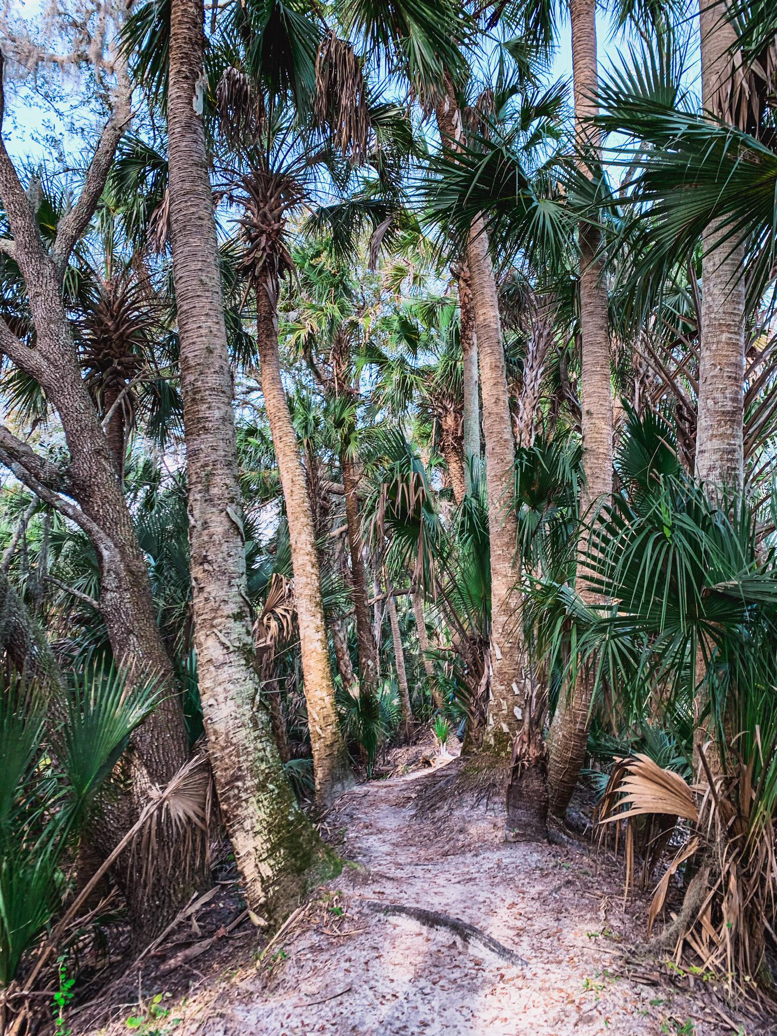 hiking trails in Central Florida