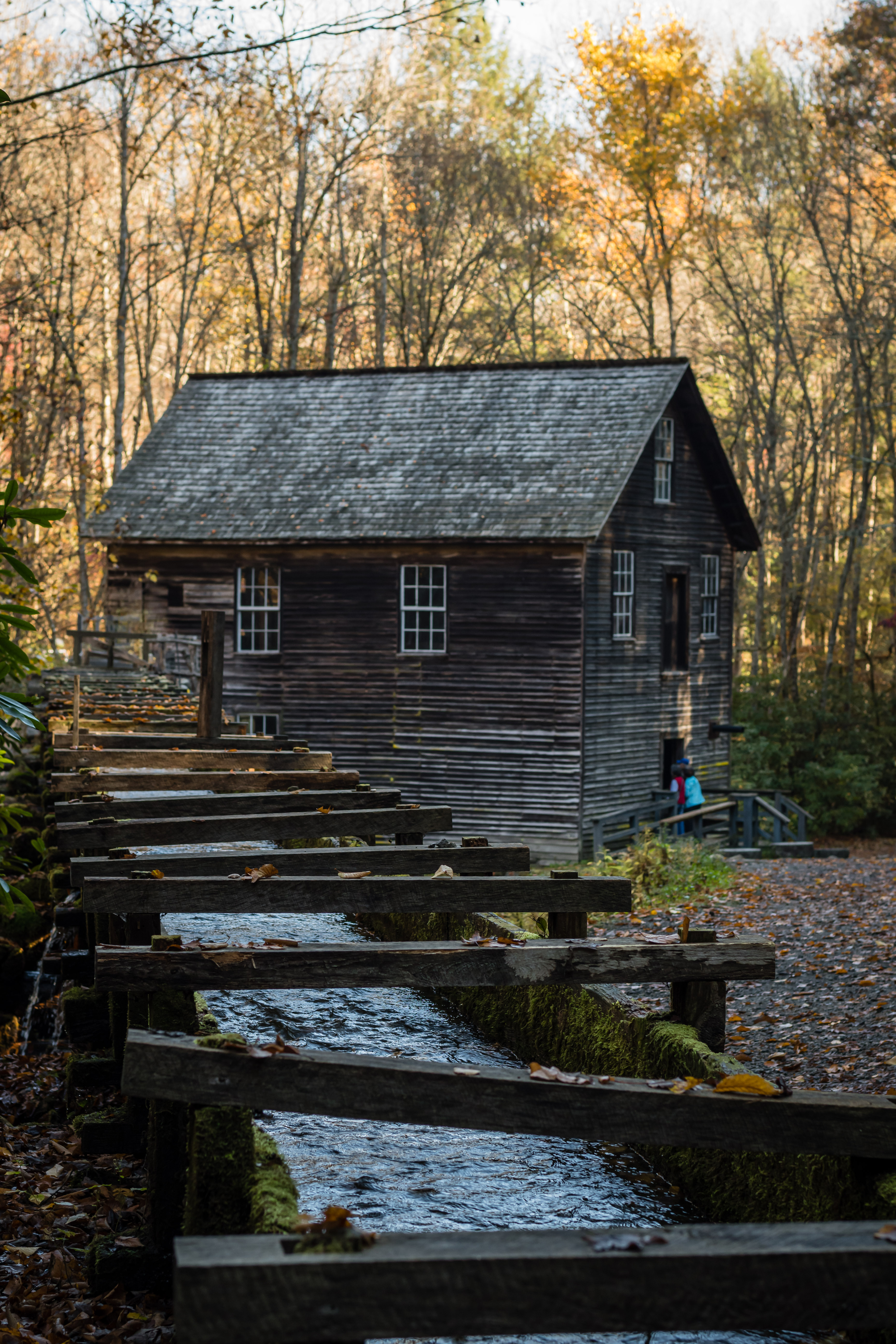 mingus mill