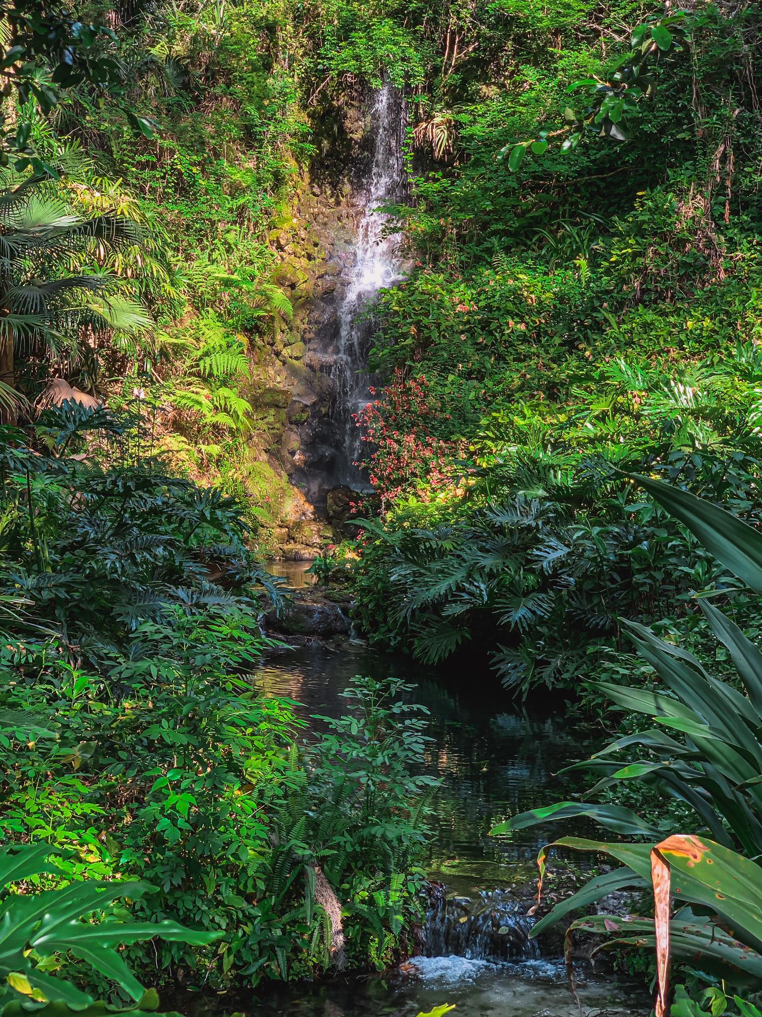 garden oasis and waterfalls in Florida