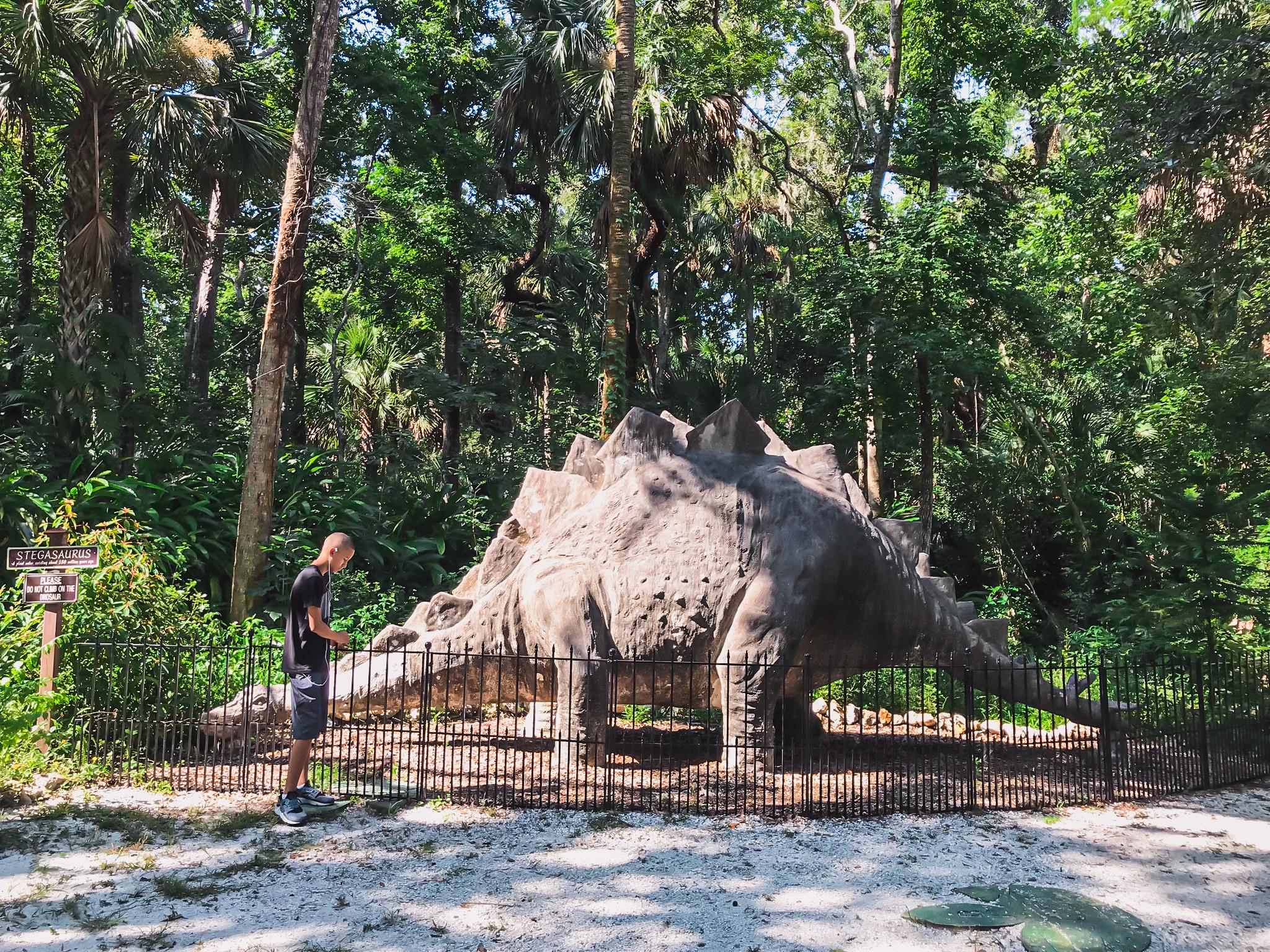 stegosaurus in bongoland florida adventure travel