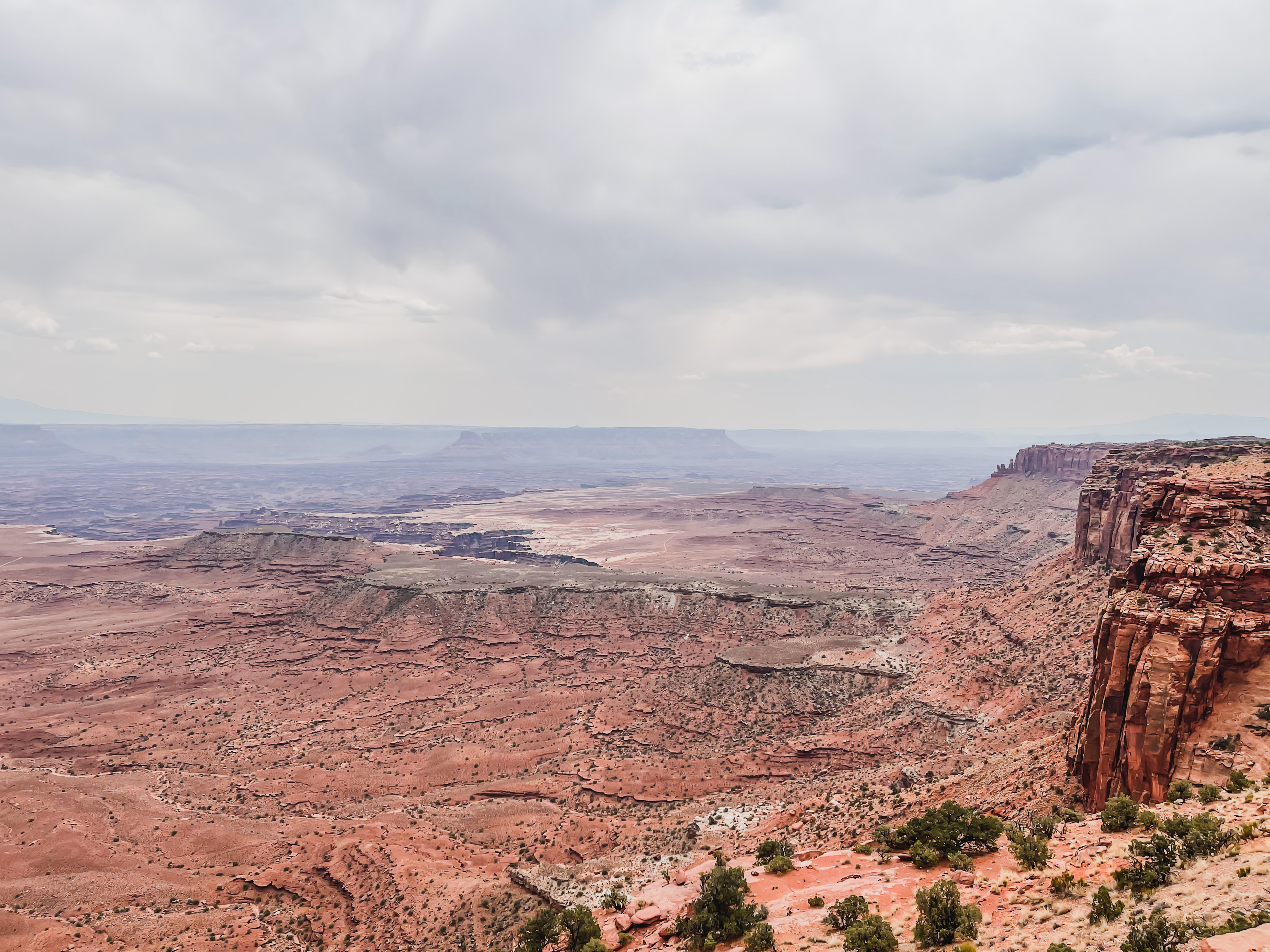 the views from buck canyon overlook in canyonlands national park