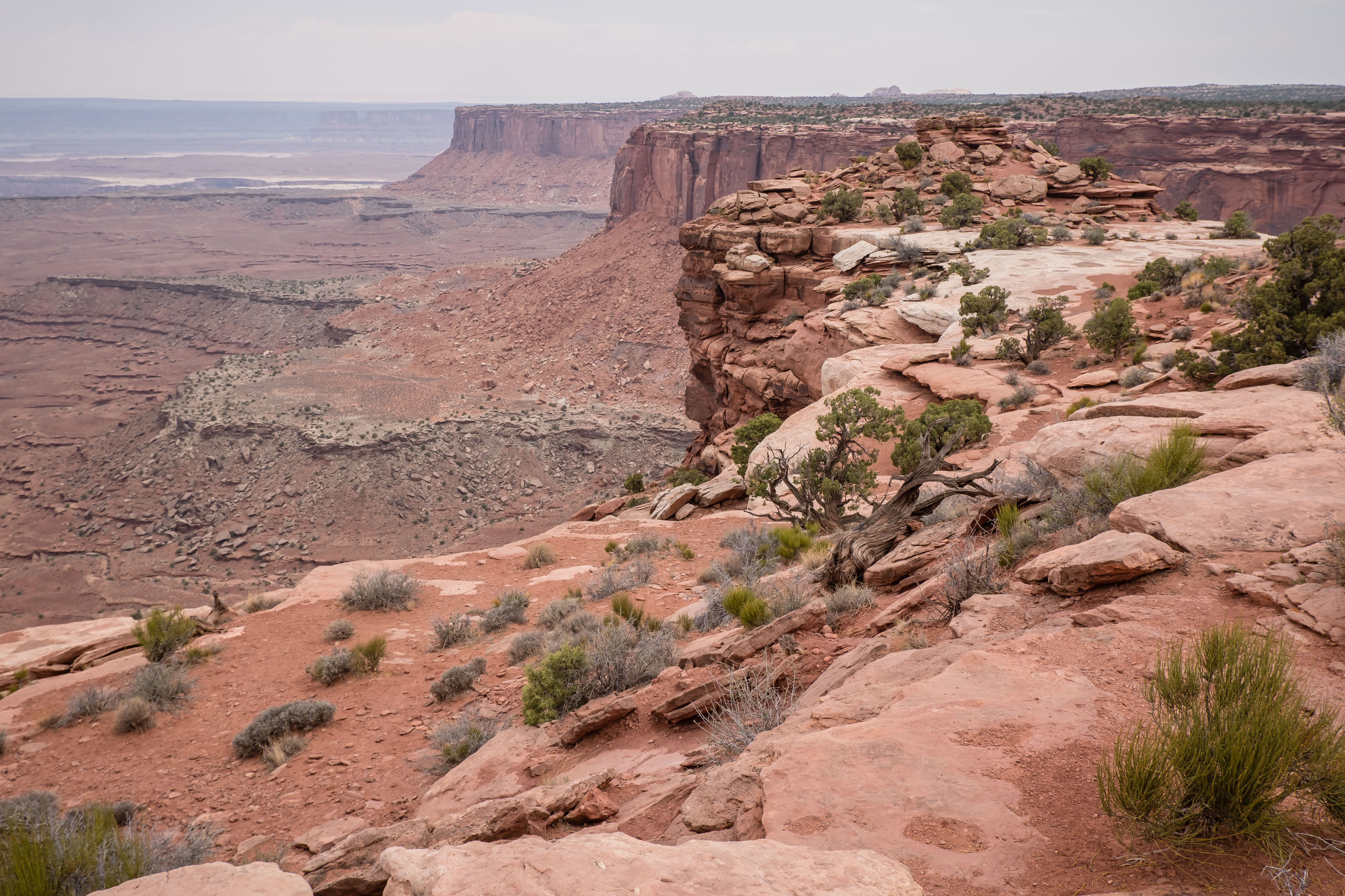 orange cliffs overlook in canyonlands national park