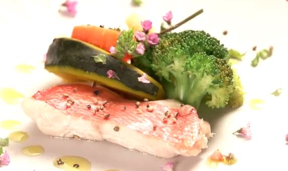 kinnmedai-youfuusakamusi