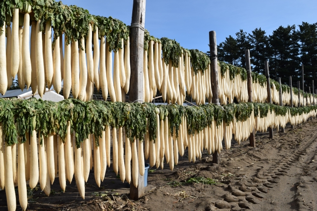 kenkokapuseru-genkinojikan-sykku