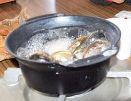 musigaki-higatabijin