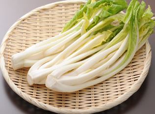 yukina-yamagata-umai