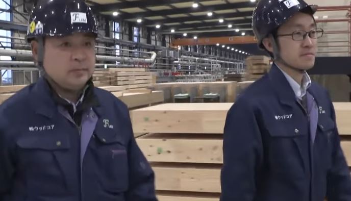 gaianoyoake-woodcore-ooyanering