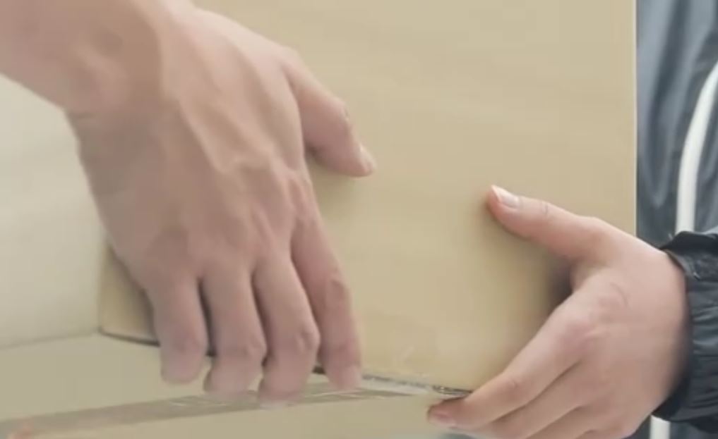 gaianoyoake-haisou-hokusyobururyu