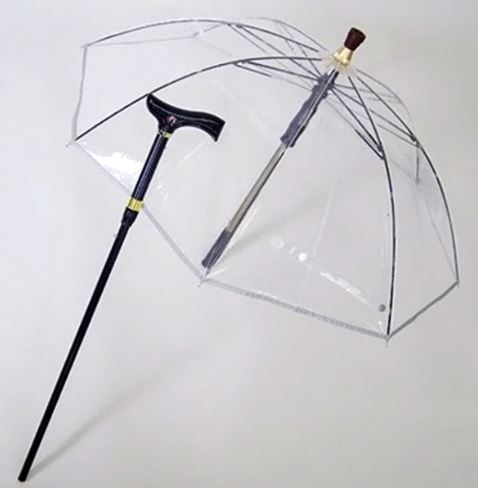 sutekki-sikomigasa-sinnosuke