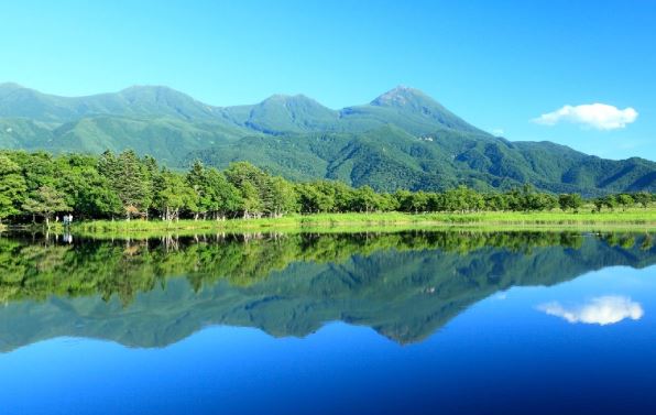 gaianoyoake-syarityou-niwasin