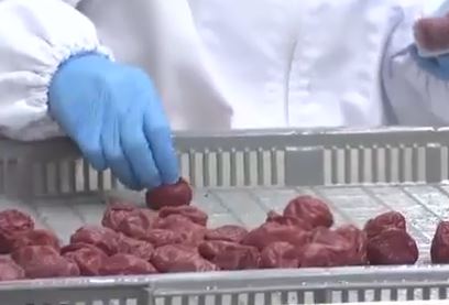 syokuhineiseihoukaisei-eikyo