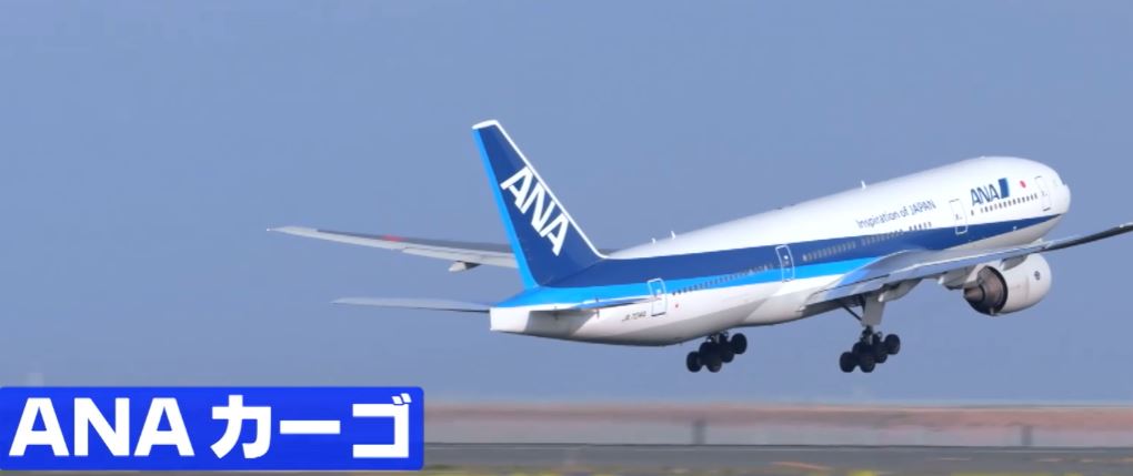 gacchirimonday-anacargo