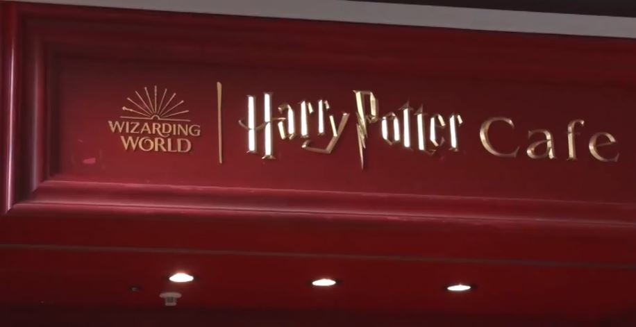 gacchirimonday-ltr-themecafe