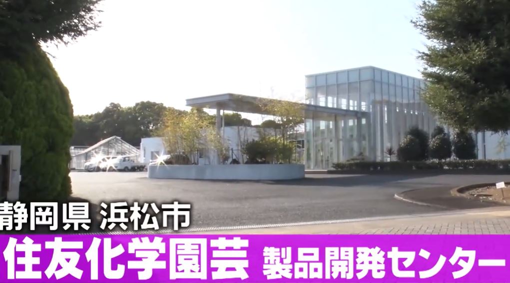 gacchirimonday-sumitomokagakuengei-benikanaturalsuplay