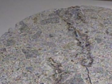 hibijidiutiyu-konkuriito