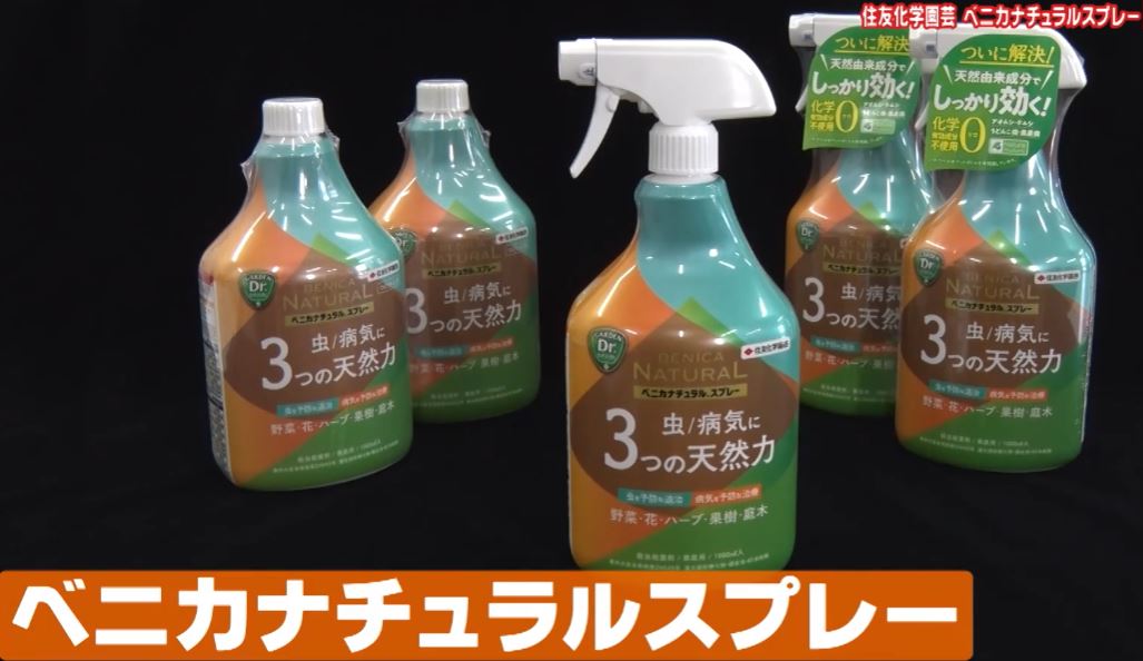 benikanatyuraruysupure-