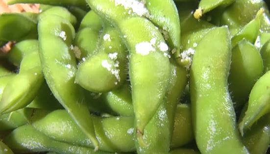yudenai-edamame