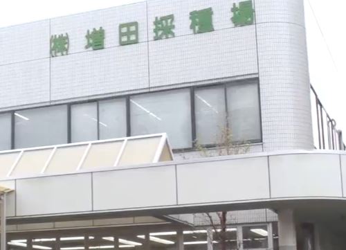 gacchirimonday-masudasaisyujyo-kale