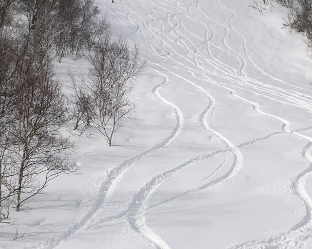 SPOOLING ON FRESH SNOW