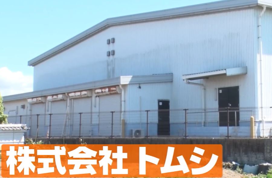 gacchirimonday-kabu-tomusi-recycle