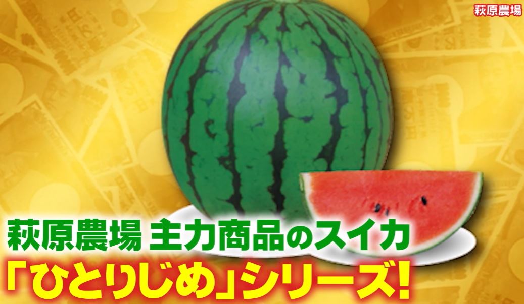 hitorijimesiri-zu