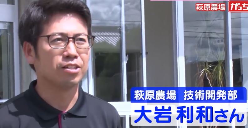 ooiwatosikazu
