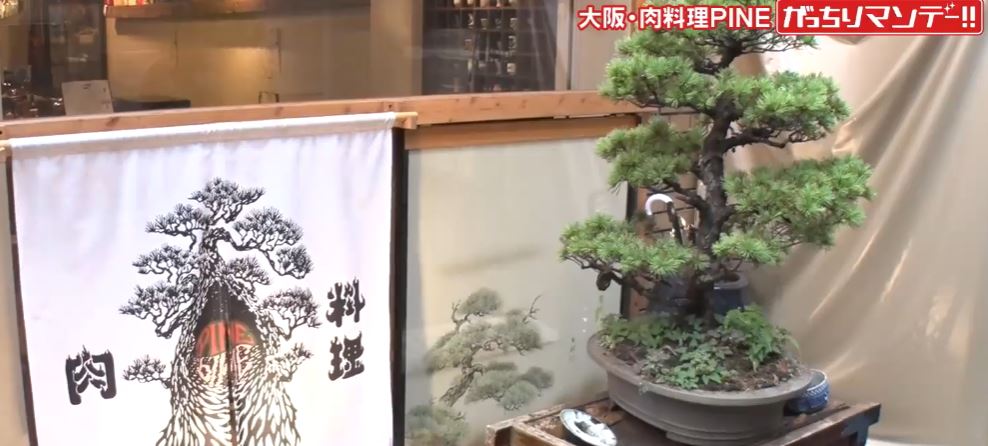 gacchirimonday-nikuryouri-pine