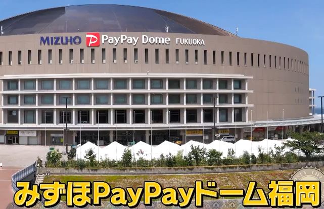 paypaydome