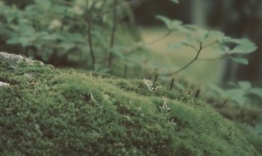 breakthrough-jmf-koke