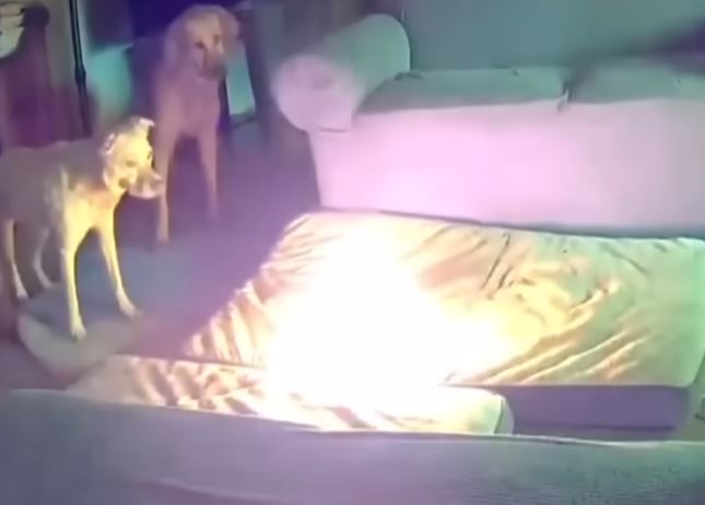 kurogen-richiumudenti-hakka