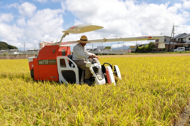 kurogen-bitikumaiout-komekakaku