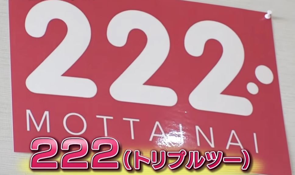 cambriapalace-222-gattoliber