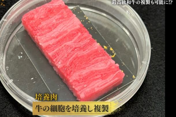 baiyouniku