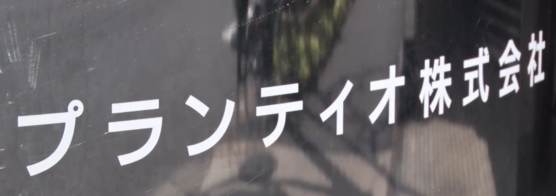 gacchirimonday-plantio