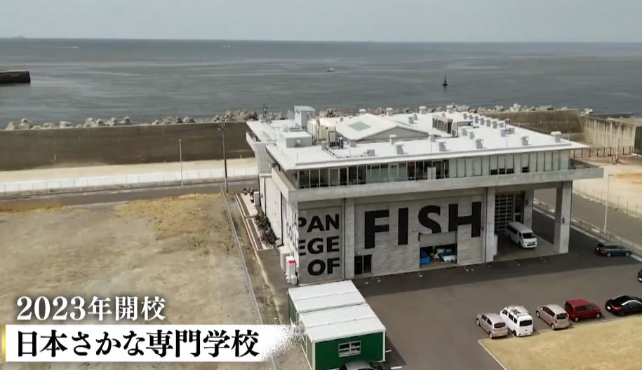 breakthrough- japan college of fish