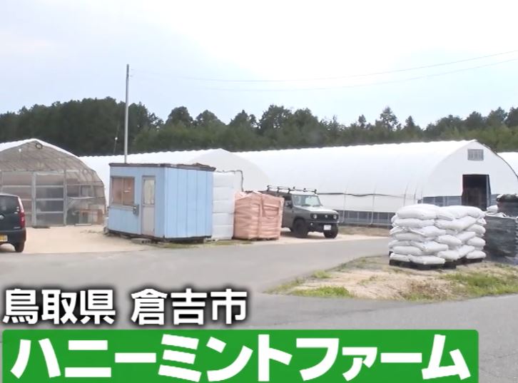 gacchirimonday-honeymintfatm