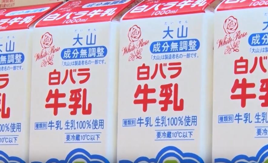 gacchiri-monday-shirobara-milk-daisen-dairy-success