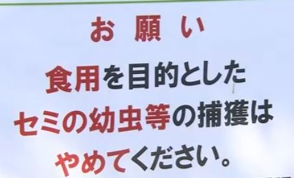 insect-food-japan-law-parks