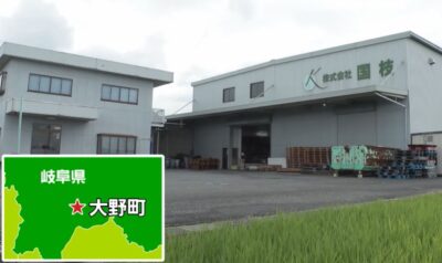 gacchiri-kunieda-onsen-tatami