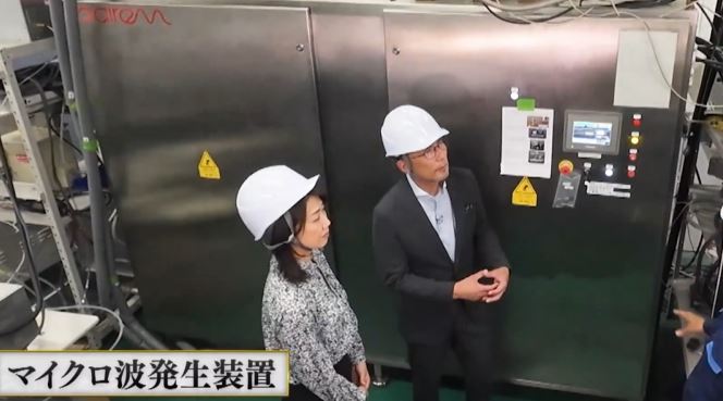 maikuroha-hasseisouti