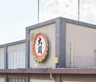 cambria-ozeki-onecup-strategy