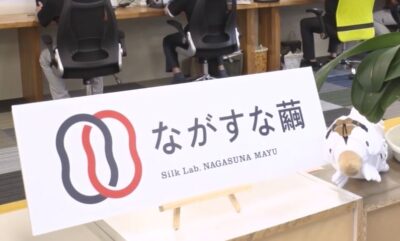 gacchiri-nagasuna-sericulture