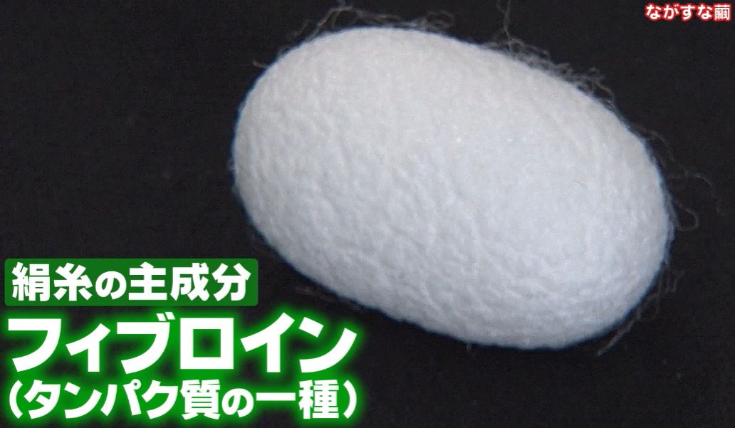 fiburoin