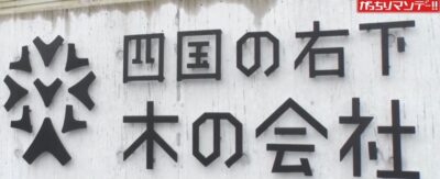 gacchiri-shikoku-charcoal-success