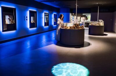 post-pricing-aquarium-994