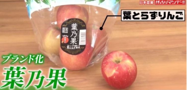 hatorazuringo-hanoka