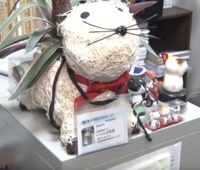 gacchiri-catfeeling-tессhu