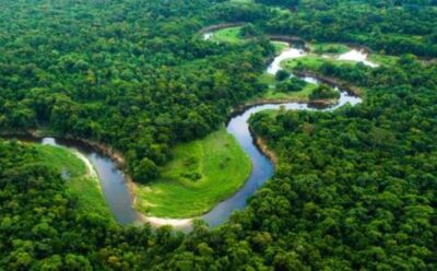 amazon-crisis-japan-impact