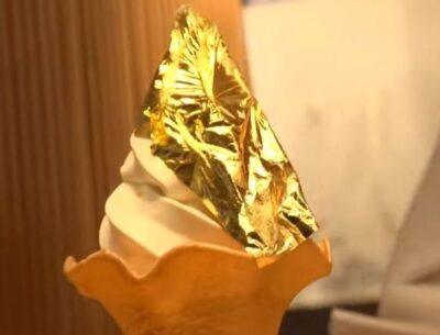 cambria-hakuichi-kinpaku