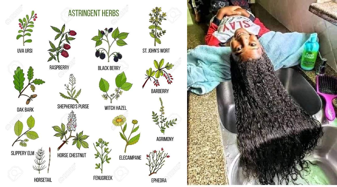 Nigerian Herbs For Hair Growth Nigerian Health Blog